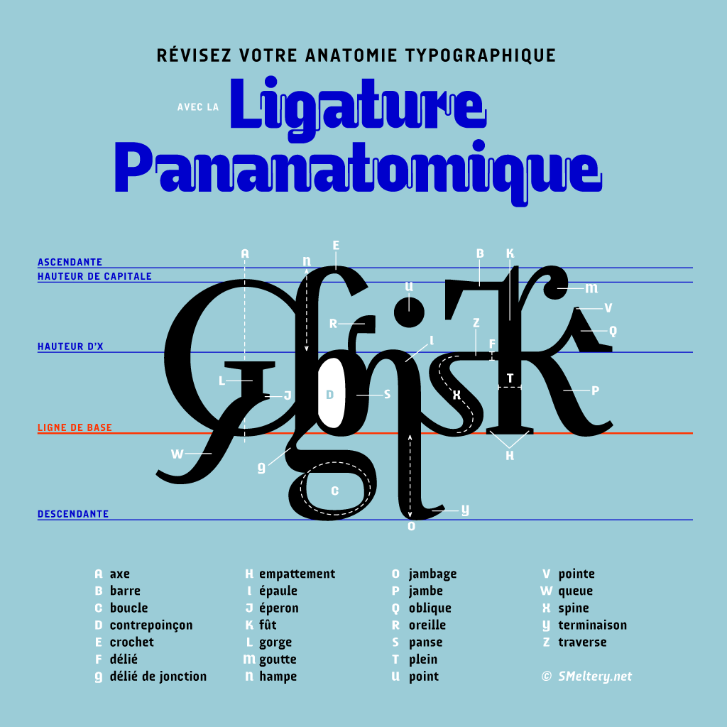 Ligature Pananatomique